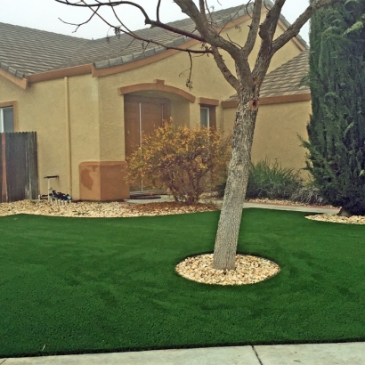 Synthetic Grass Carmine, Texas Landscaping, Small Front Yard Landscaping