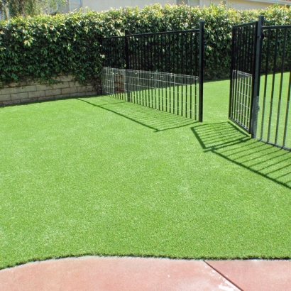 Synthetic Grass Cost Asherton, Texas Backyard Deck Ideas, Small Front Yard Landscaping