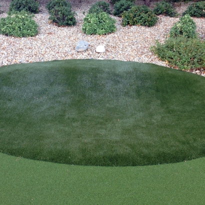 Synthetic Grass Cost New Territory, Texas Landscape Design