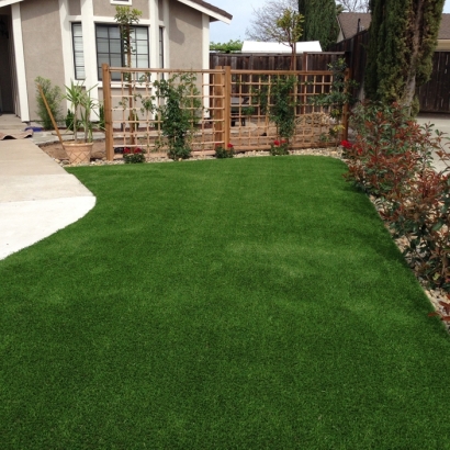 Synthetic Grass Cost North San Pedro, Texas Design Ideas, Front Yard Landscape Ideas