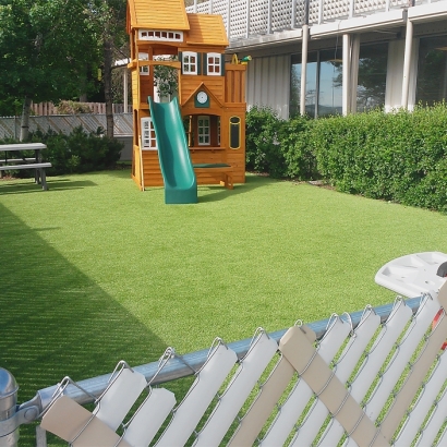 Synthetic Grass Cost San Diego, Texas Landscaping Business, Backyard Landscape Ideas