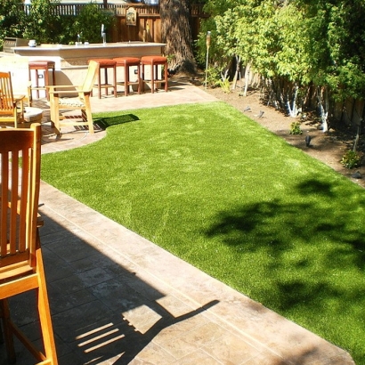 Synthetic Grass Dilley, Texas Pet Turf, Backyard Design