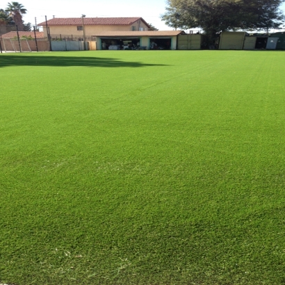Synthetic Grass Luling, Texas Rooftop, Recreational Areas