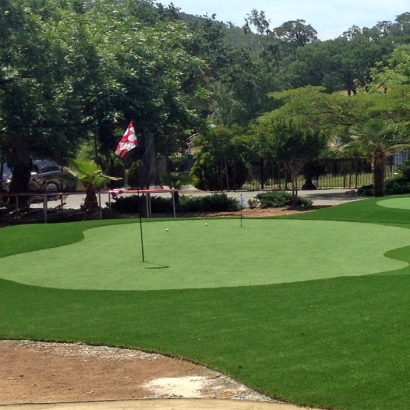 Synthetic Grass Mason, Texas Putting Green, Front Yard Ideas