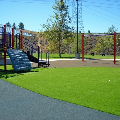 Synthetic Grass Runge, Texas Landscape Design, Recreational Areas