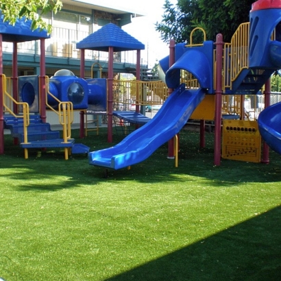 Synthetic Lawn Beeville, Texas Design Ideas, Commercial Landscape