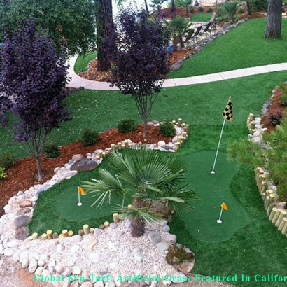 Synthetic Lawn San Antonio, Texas Artificial Putting Greens, Backyard Design