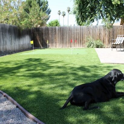 Synthetic Turf Rancho Alegre, Texas Dogs, Small Backyard Ideas