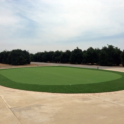 Synthetic Turf Supplier Ranchos Penitas West Colonia, Texas Putting Green Turf, Front Yard Ideas