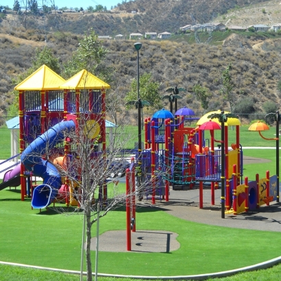 Turf Grass Encinal, Texas Playground Safety, Recreational Areas