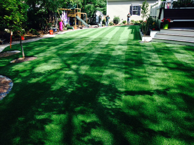 Artificial Grass Carpet Driscoll, Texas Rooftop, Small Backyard Ideas