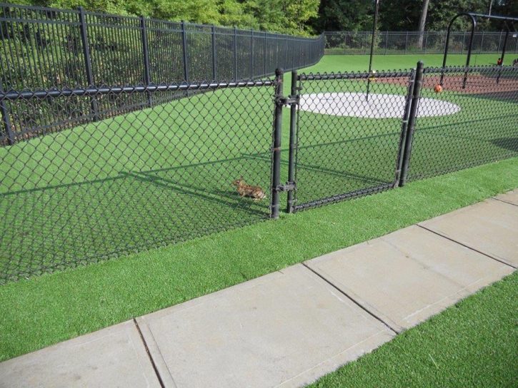 Artificial Grass Carpet Georgetown, Texas Lacrosse Playground, Recreational Areas