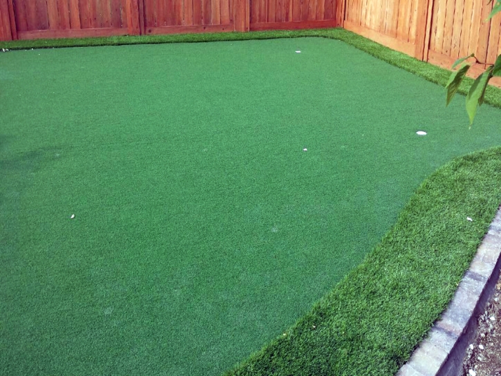 Artificial Grass Carpet Ingram, Texas Paver Patio, Backyard Design