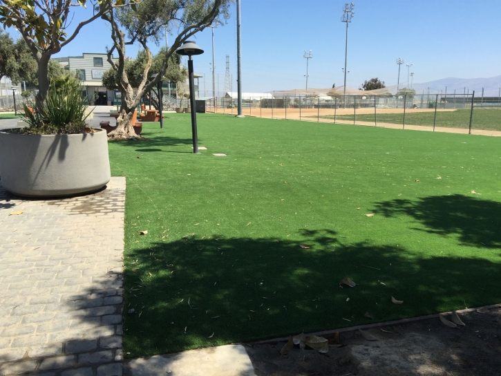 Artificial Grass Installation Rosita South, Texas Landscape Ideas, Parks