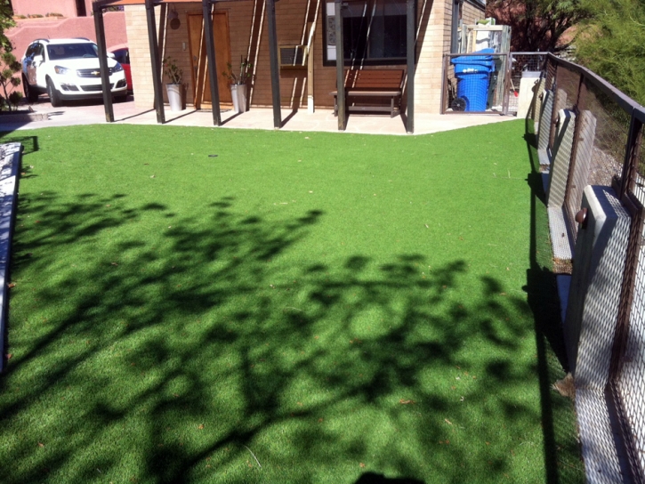 Artificial Grass Sinton, Texas Landscape Ideas, Backyard Landscape Ideas