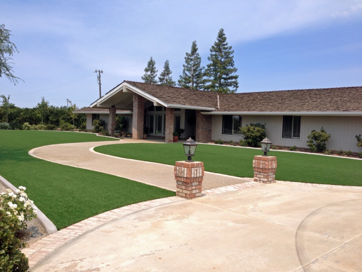 Artificial Turf Cost Fort Clark Springs, Texas Lawns, Small Front Yard Landscaping