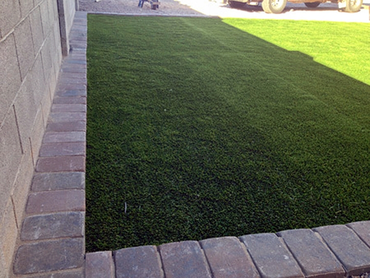 Artificial Turf Cost Tynan, Texas Dog Parks, Front Yard