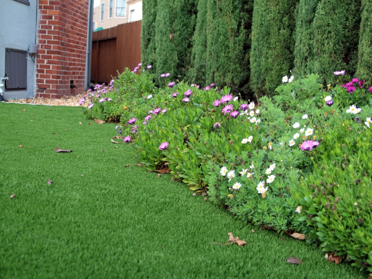 Artificial Turf Loma Grande Colonia, Texas Landscaping, Front Yard Landscaping Ideas