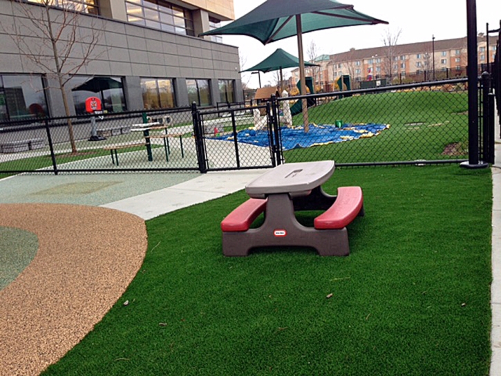 Artificial Turf Manchaca, Texas Kids Indoor Playground, Commercial Landscape