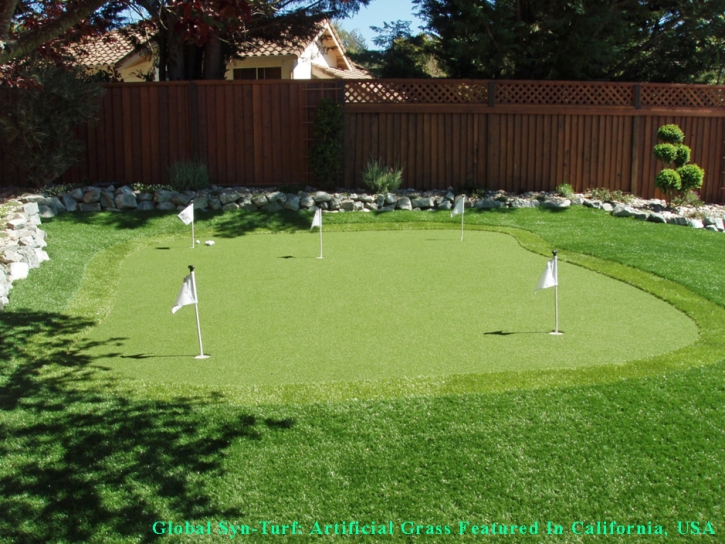 Best Artificial Grass China Grove, Texas Paver Patio, Backyard Makeover