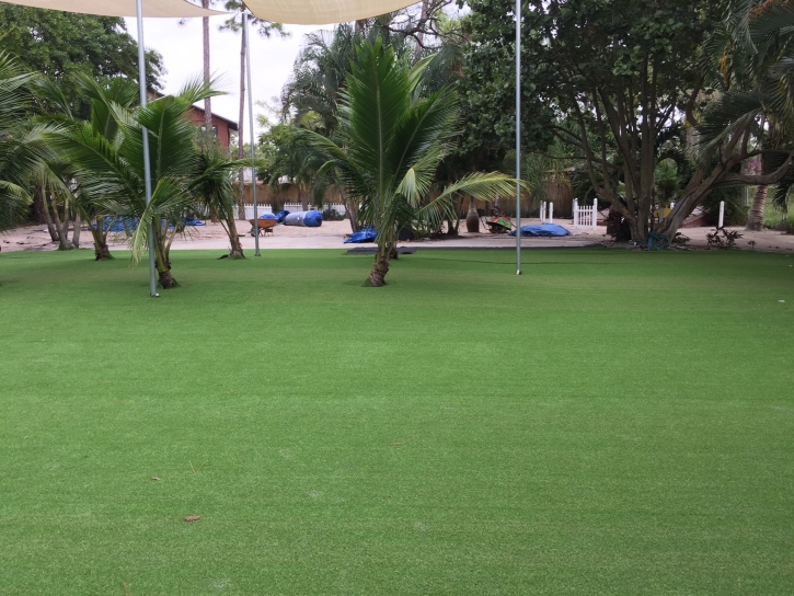 Best Artificial Grass Port Lavaca, Texas Roof Top, Commercial Landscape