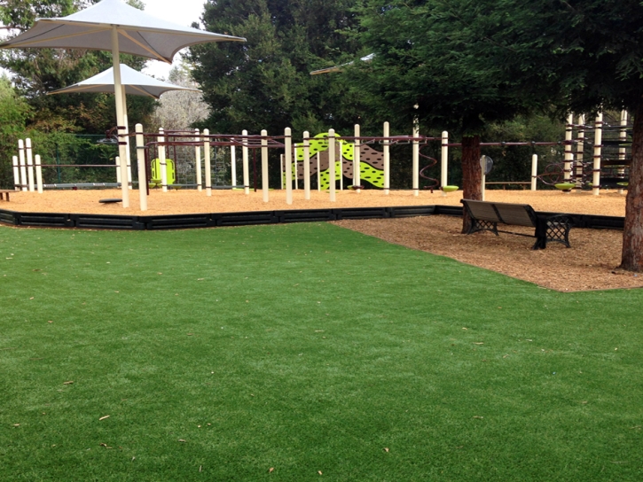 Best Artificial Grass Temple, Texas Athletic Playground, Backyard