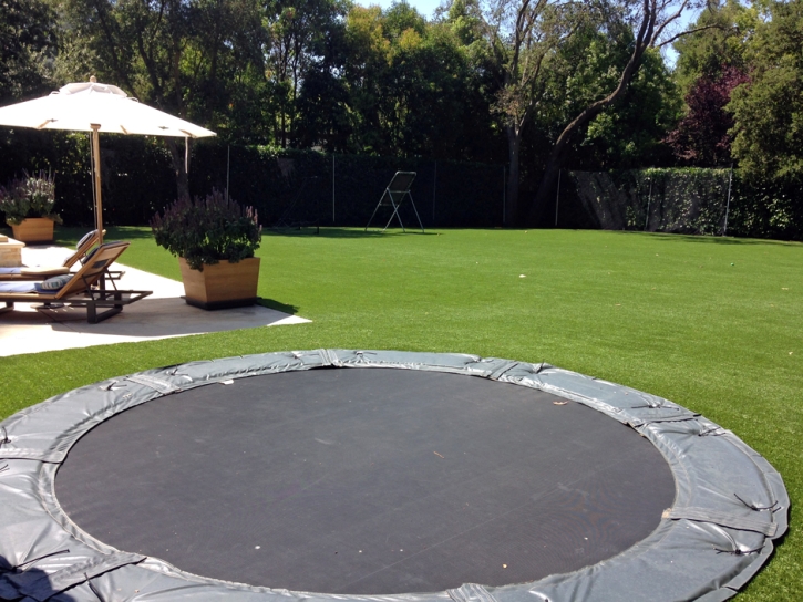 Fake Grass Carpet Garden Ridge, Texas Lawn And Garden, Small Backyard Ideas