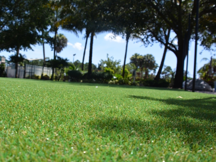 Fake Grass Carpet Killeen, Texas Gardeners, Recreational Areas