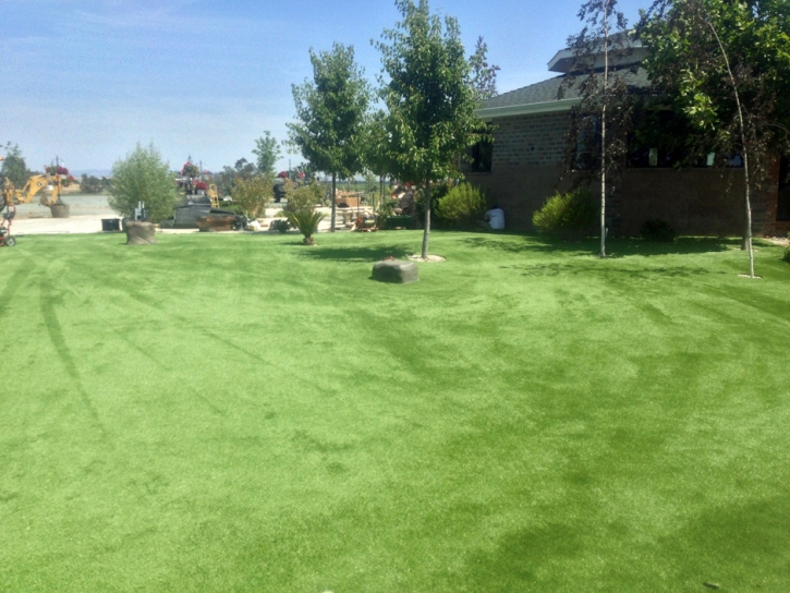 Fake Grass Carpet Tuleta, Texas Dogs, Recreational Areas