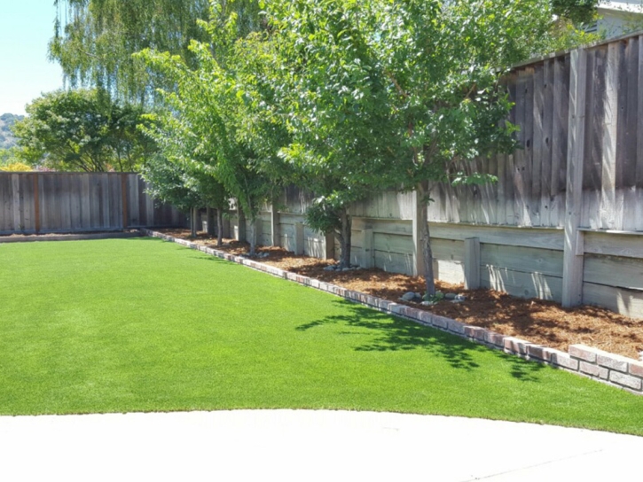 Fake Grass Corpus Christi, Texas Garden Ideas, Backyard Designs