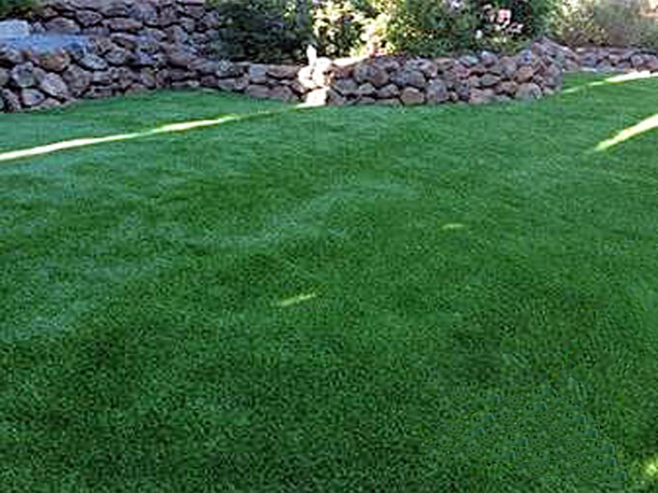 Fake Grass Rosita North, Texas Landscape Photos, Backyards