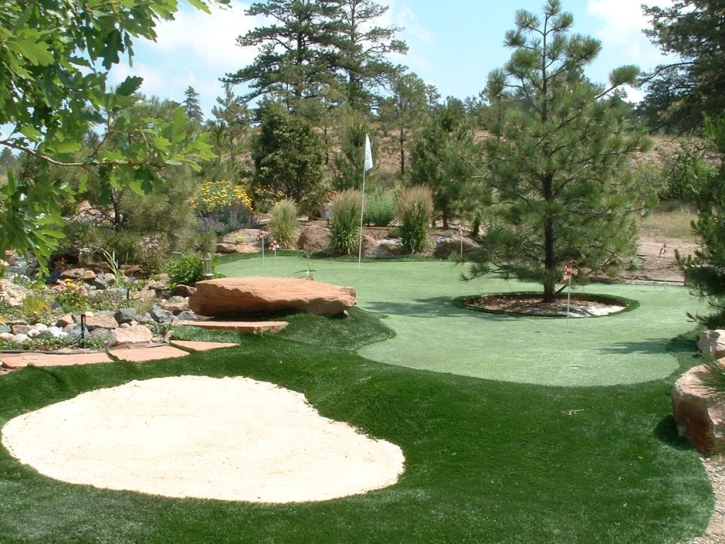 Fake Grass Vanderbilt, Texas Home Putting Green, Backyard Landscaping Ideas