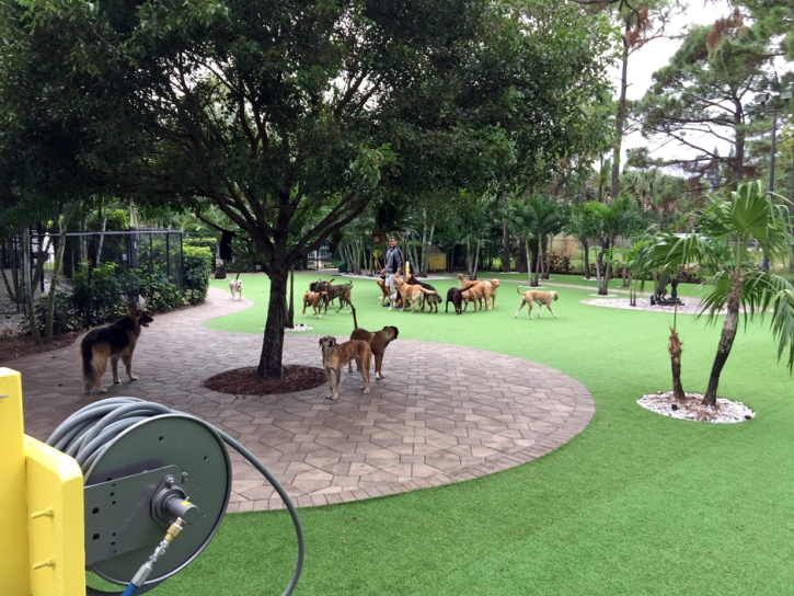 Fake Turf Hackberry, Texas Hotel For Dogs, Commercial Landscape