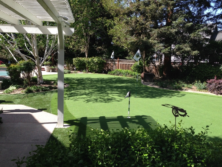 Faux Grass Lamar, Texas Landscaping Business