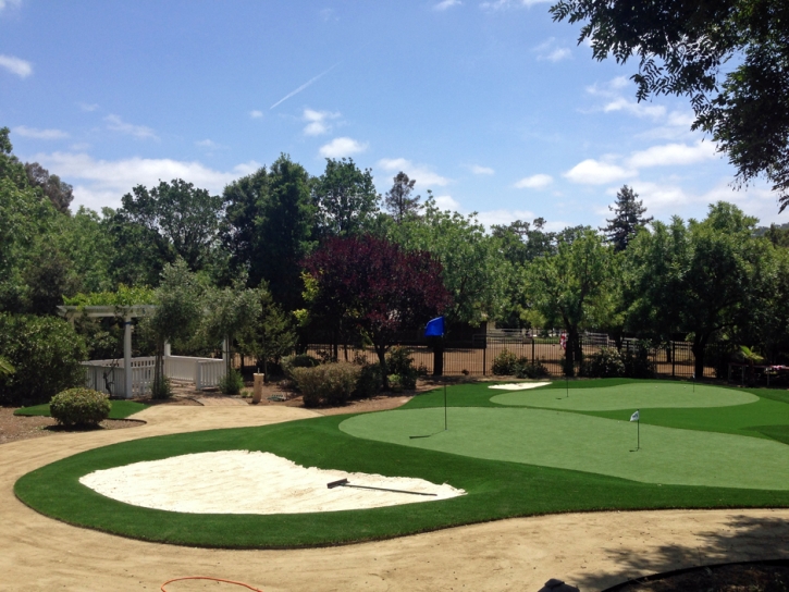 Grass Carpet Gardendale, Texas Putting Green Carpet, Small Front Yard Landscaping