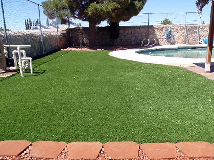 Grass Carpet Lakeway, Texas Lawn And Garden, Natural Swimming Pools