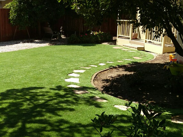Grass Carpet Rockport, Texas Landscape Ideas, Backyard Landscaping
