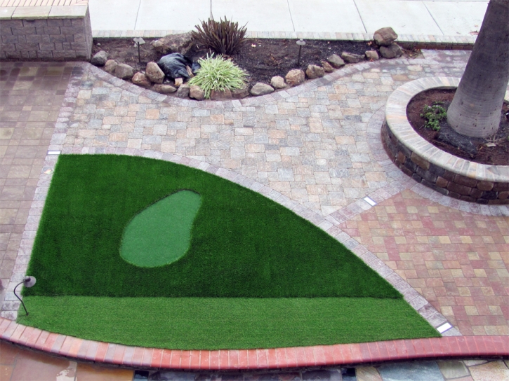 Grass Carpet Stockdale, Texas Indoor Putting Green, Front Yard Landscape Ideas