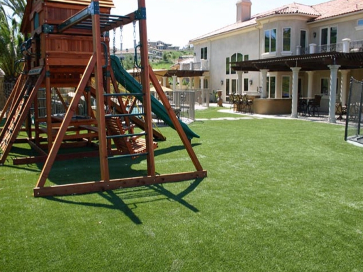 Grass Carpet Tulsita, Texas Athletic Playground, Backyard Landscape Ideas