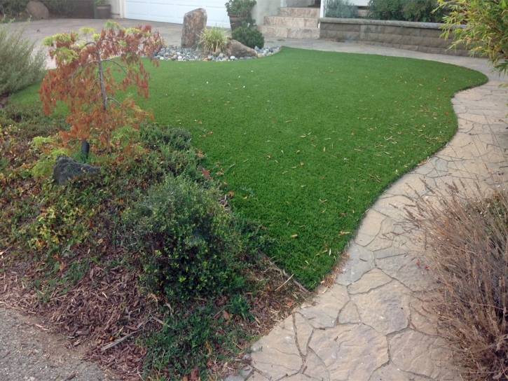Grass Carpet West Lake Hills, Texas Lawn And Garden, Backyard Landscaping