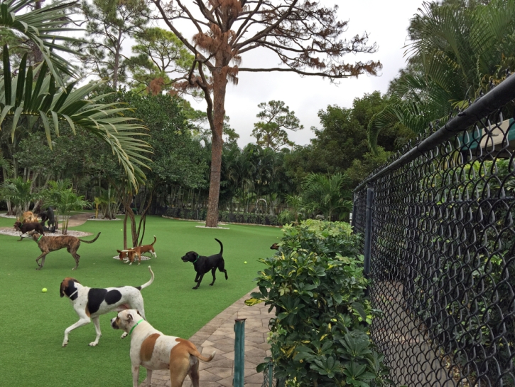 How To Install Artificial Grass Hallettsville, Texas Dog Park, Commercial Landscape