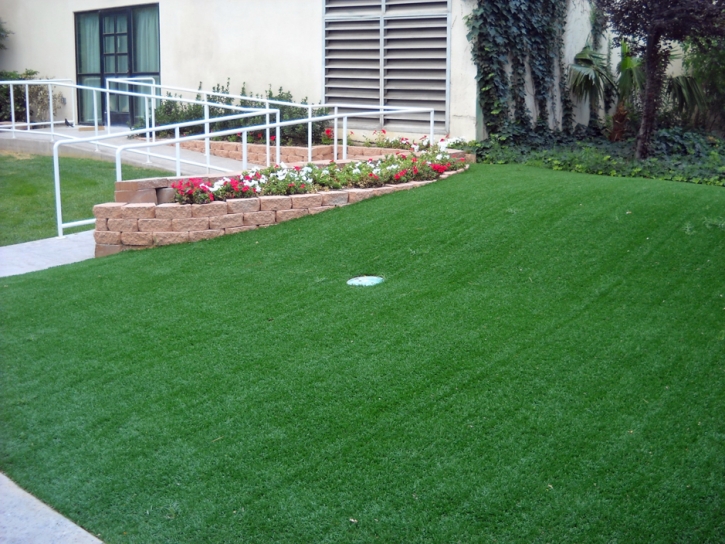 Installing Artificial Grass Onion Creek, Texas Landscape Ideas, Small Front Yard Landscaping