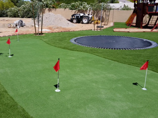 Lawn Services Las Quintas Fronterizas, Texas Putting Greens, Backyard