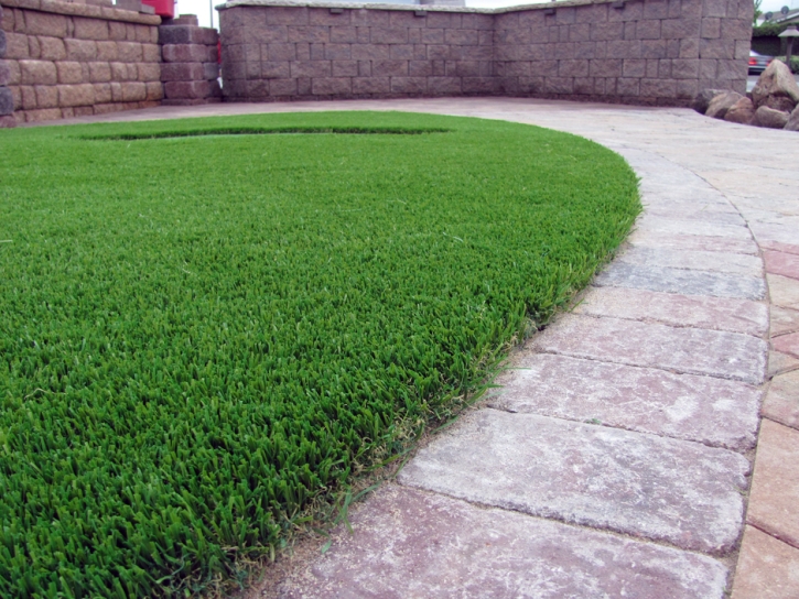 Plastic Grass Fairchilds, Texas Roof Top, Small Front Yard Landscaping