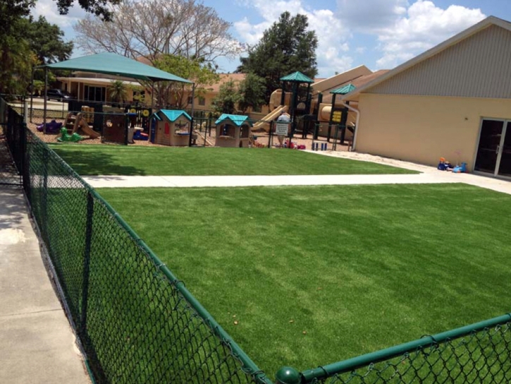 Plastic Grass Lago Vista, Texas Landscape Design, Commercial Landscape