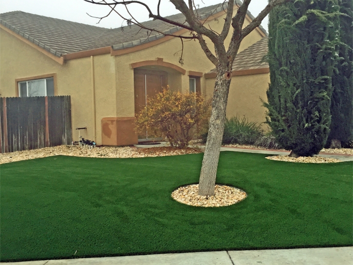 Synthetic Grass Carmine, Texas Landscaping, Small Front Yard Landscaping