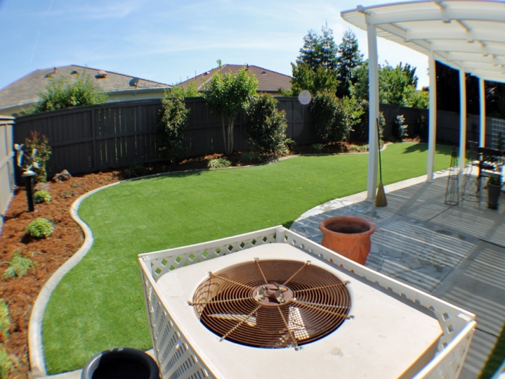 Synthetic Grass Cost Agua Dulce, Texas Roof Top, Backyard