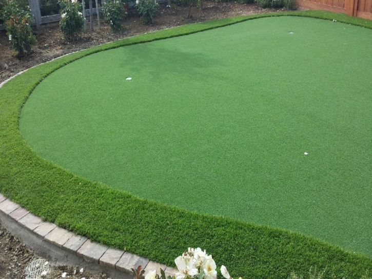 Synthetic Grass Cost Crystal City, Texas Putting Green Grass, Backyard