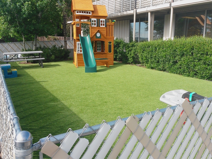 Synthetic Grass Cost San Diego, Texas Landscaping Business, Backyard Landscape Ideas
