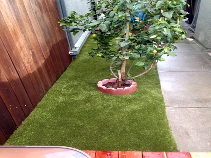 Synthetic Grass Cost Woodsboro, Texas Lawn And Landscape, Backyard Landscape Ideas